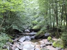 Klamschlucht