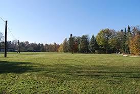 Wasserwald